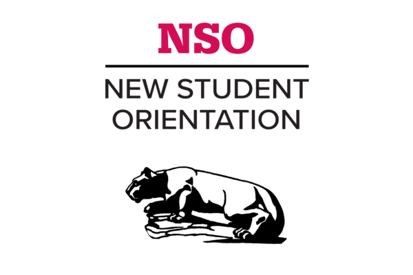 New Student Orientation program logo with NSO text and lion statue image